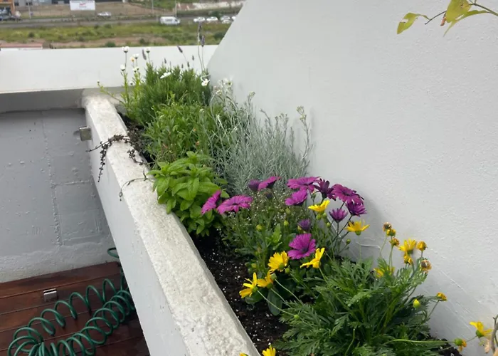 El Atico De La Playa Parking Gratis Gijón